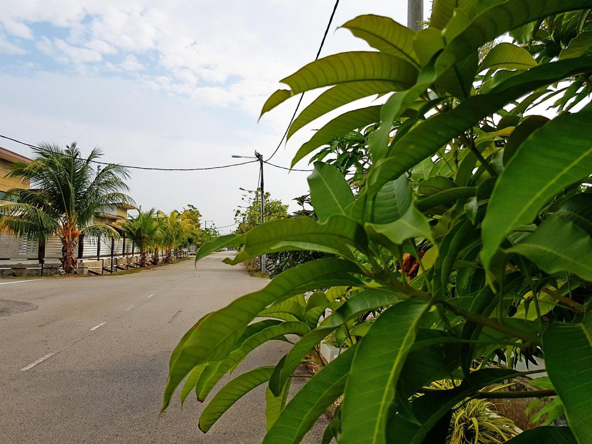 Siantan In Paya Rumput Near Std Hang Jebat, Sg Udang & Uitm Lendu Melaka Zewnętrze zdjęcie